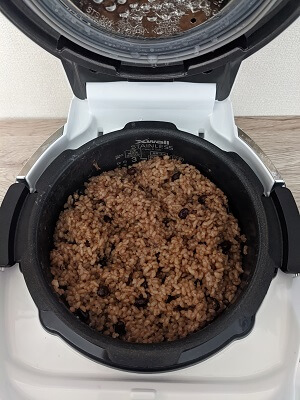クックの炊飯器で炊いた発芽酵素玄米ごはんを発酵させた状態の3日目