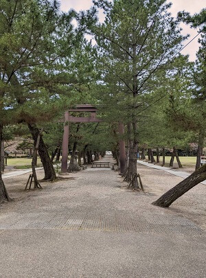 松の参道
