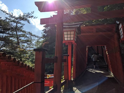 太鼓谷稲成神社の鳥居トンネル