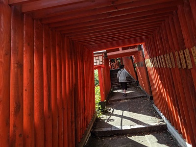 太鼓谷稲成神社の鳥居のトンネル